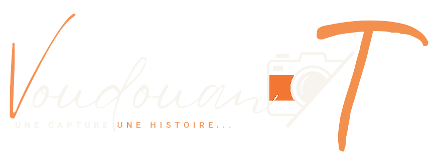 VoudouanT